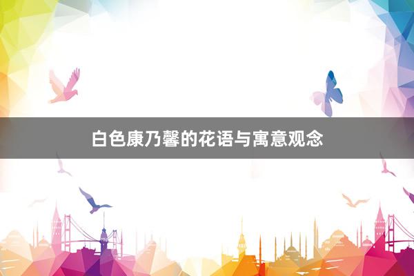白色康乃馨的花语与寓意观念